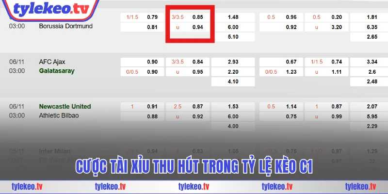 Cược Tài Xỉu thu hút trong tỷ lệ kèo C1