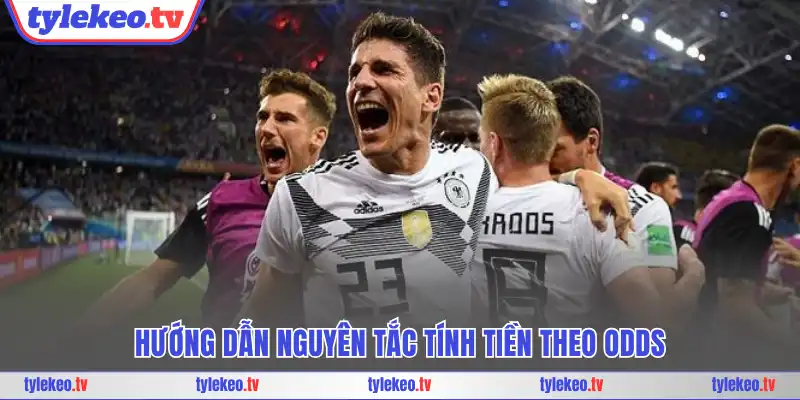 Hướng dẫn nguyên tắc tính tiền theo odds
